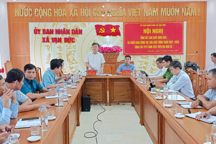 Kinh tế - Tổng hợp